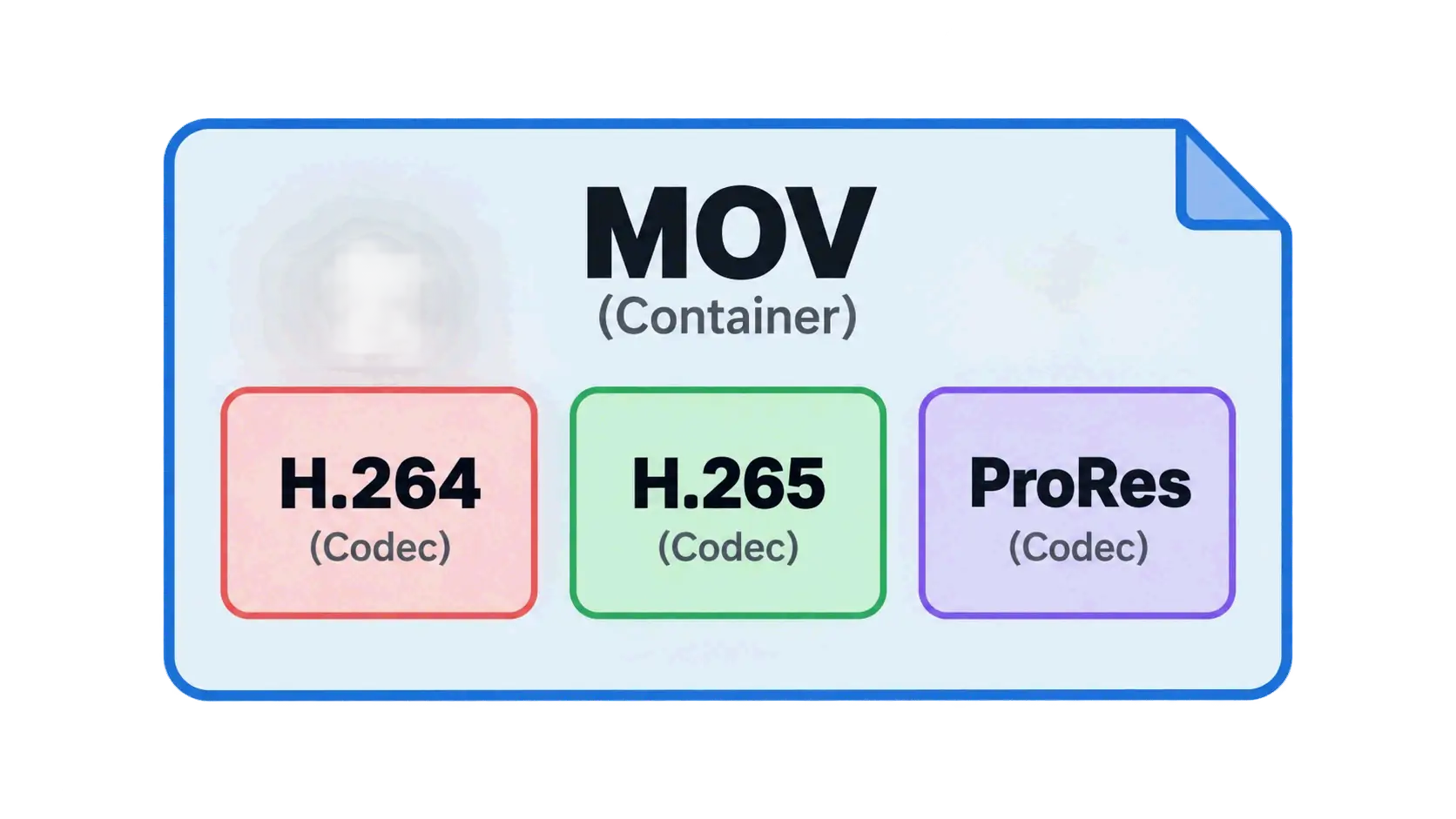 MOV container holding different codecs like H.264, H.265, ProRes